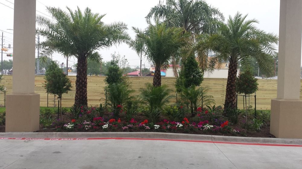 Palace Inn 290 & Jones Rd Jersey Village المظهر الخارجي الصورة